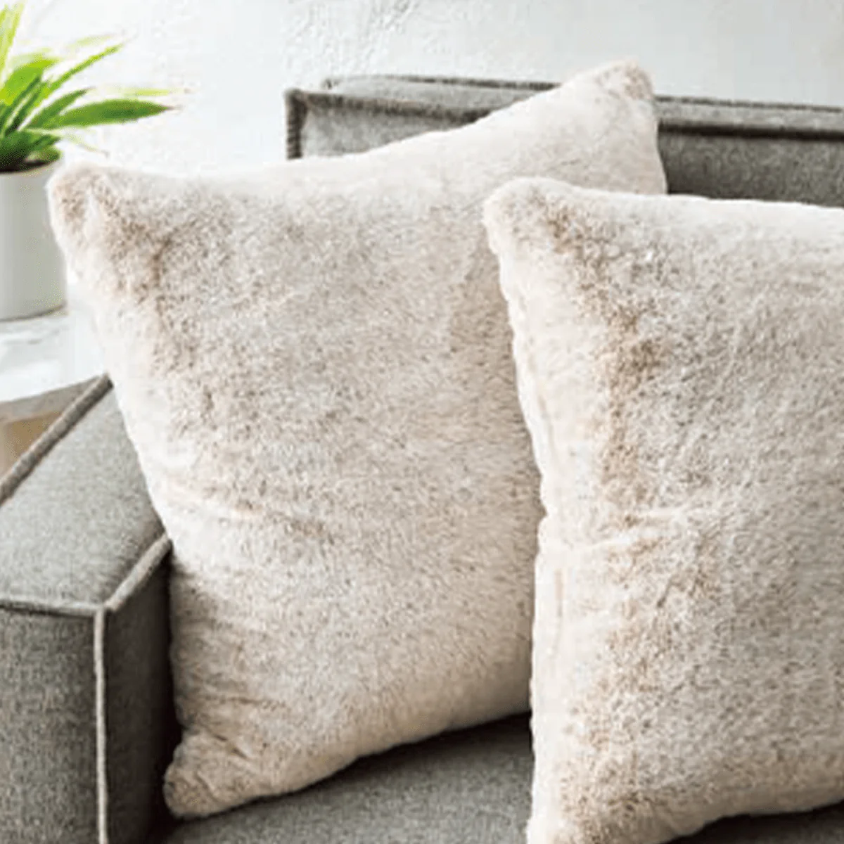 2 Pk Rabbit Cushions
