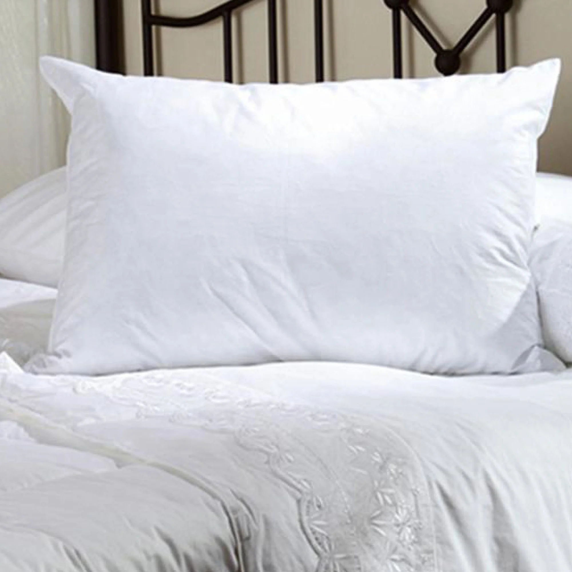 Lauren Taylor | Oasis - White Duck Feather Pillow