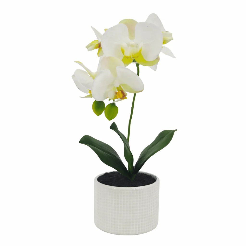 Artificial Orchid in Decorative Pot - Image 2