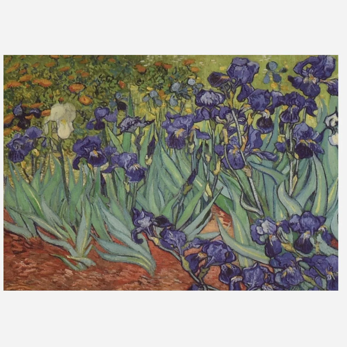 Van Gogh Fashion Scarves - Image 10