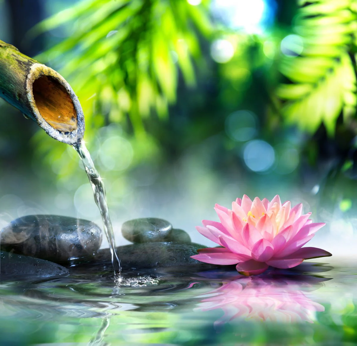 Zen Spa Canvas Wall Art – 80 x 80 x 2.5 cm