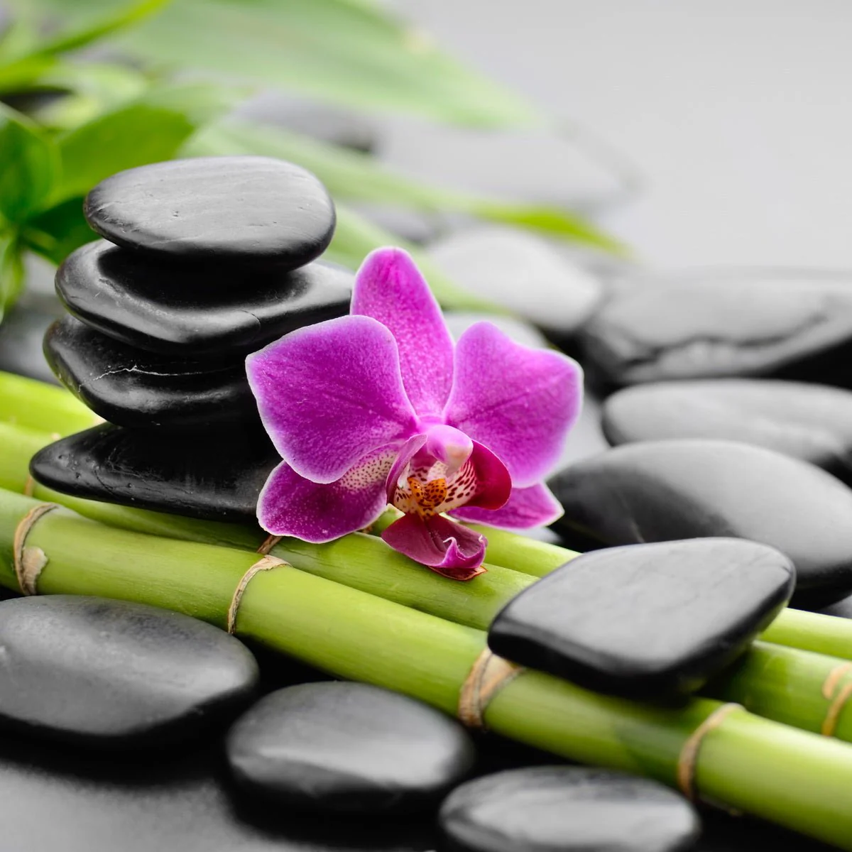 Zen Spa Canvas Wall Art – 80 x 80 x 2.5 cm - Image 4