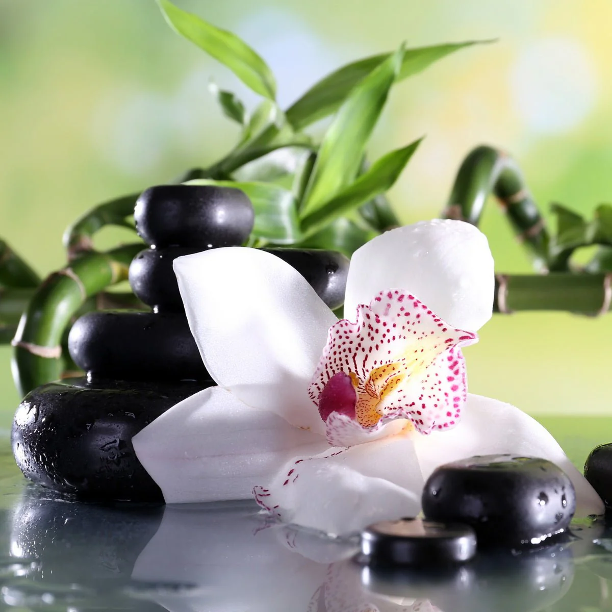 Zen Spa Canvas Wall Art – 80 x 80 x 2.5 cm - Image 5