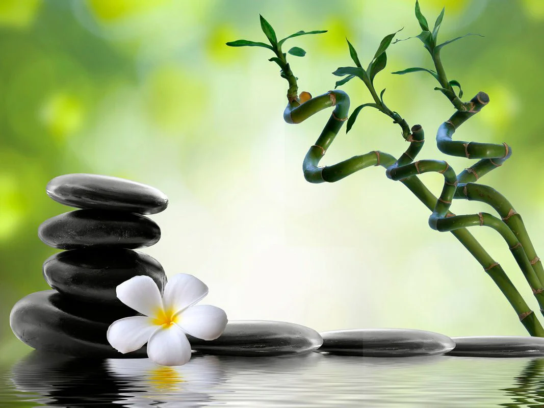 Zen Spa Canvas Wall Art – 80 x 80 x 2.5 cm - Image 7