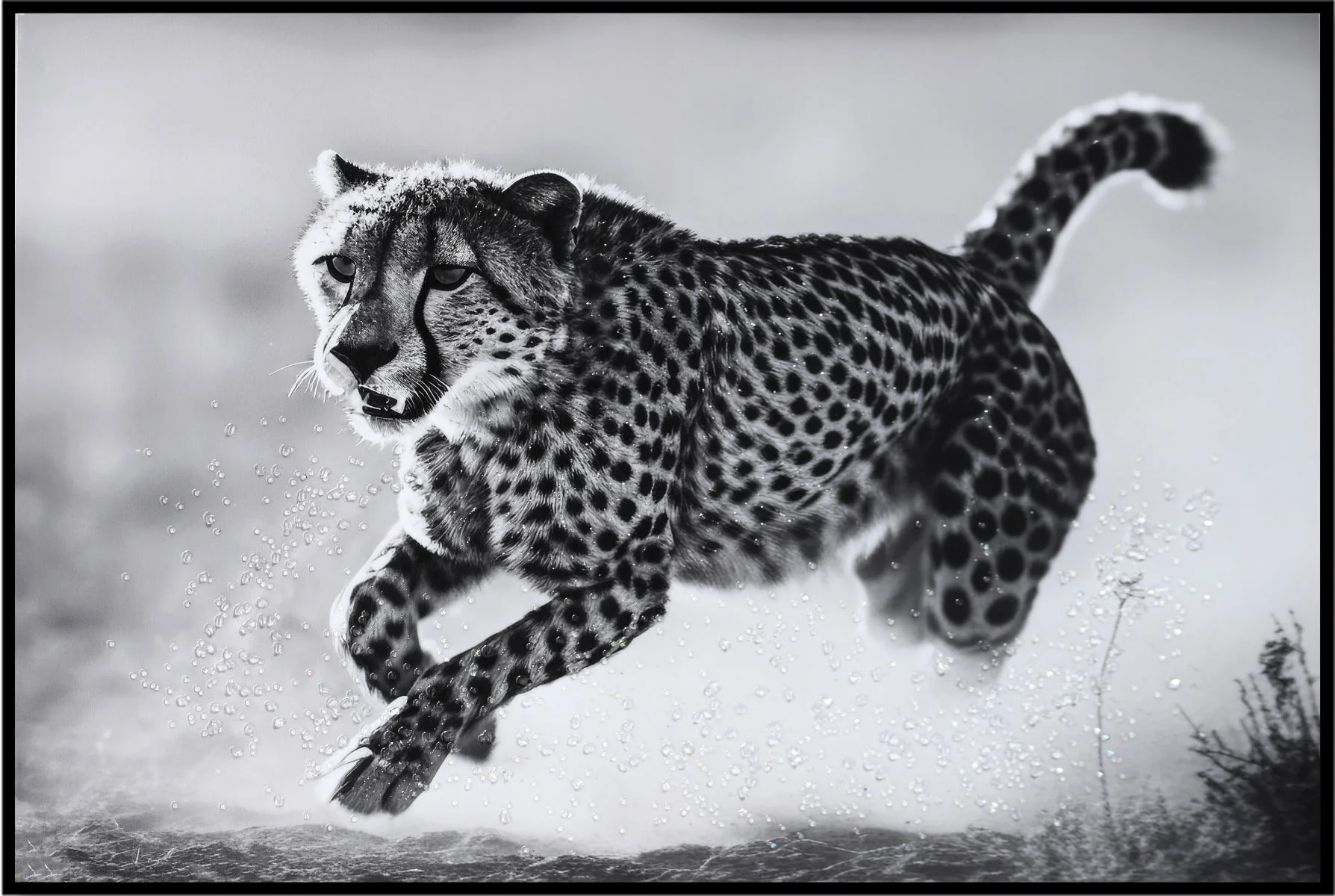 LAUREN TAYLOR - Animal canvas 62X92X4 CM - Image 2