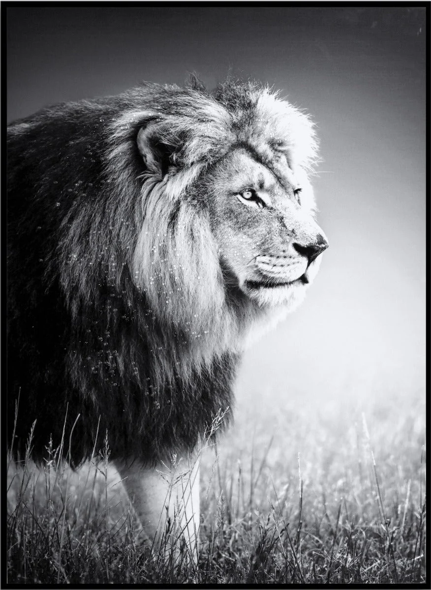 LAUREN TAYLOR - Animal canvas 62X92X4 CM - Image 4