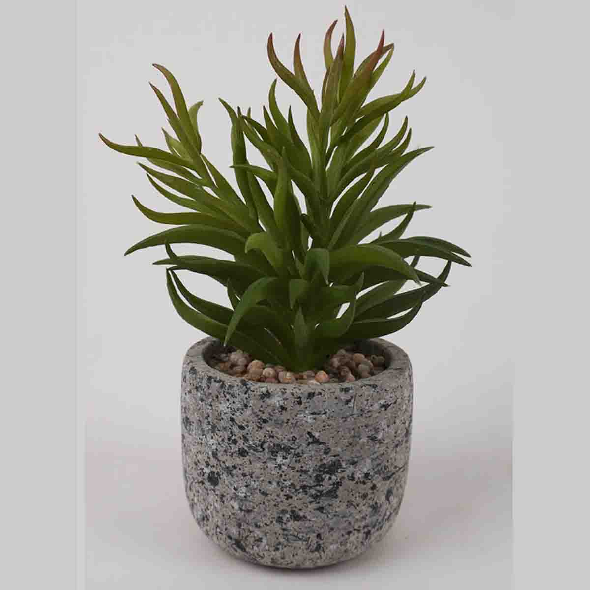 Lauren Taylor - Artificial Succulents in Grey Cement Pots 7" - Image 2