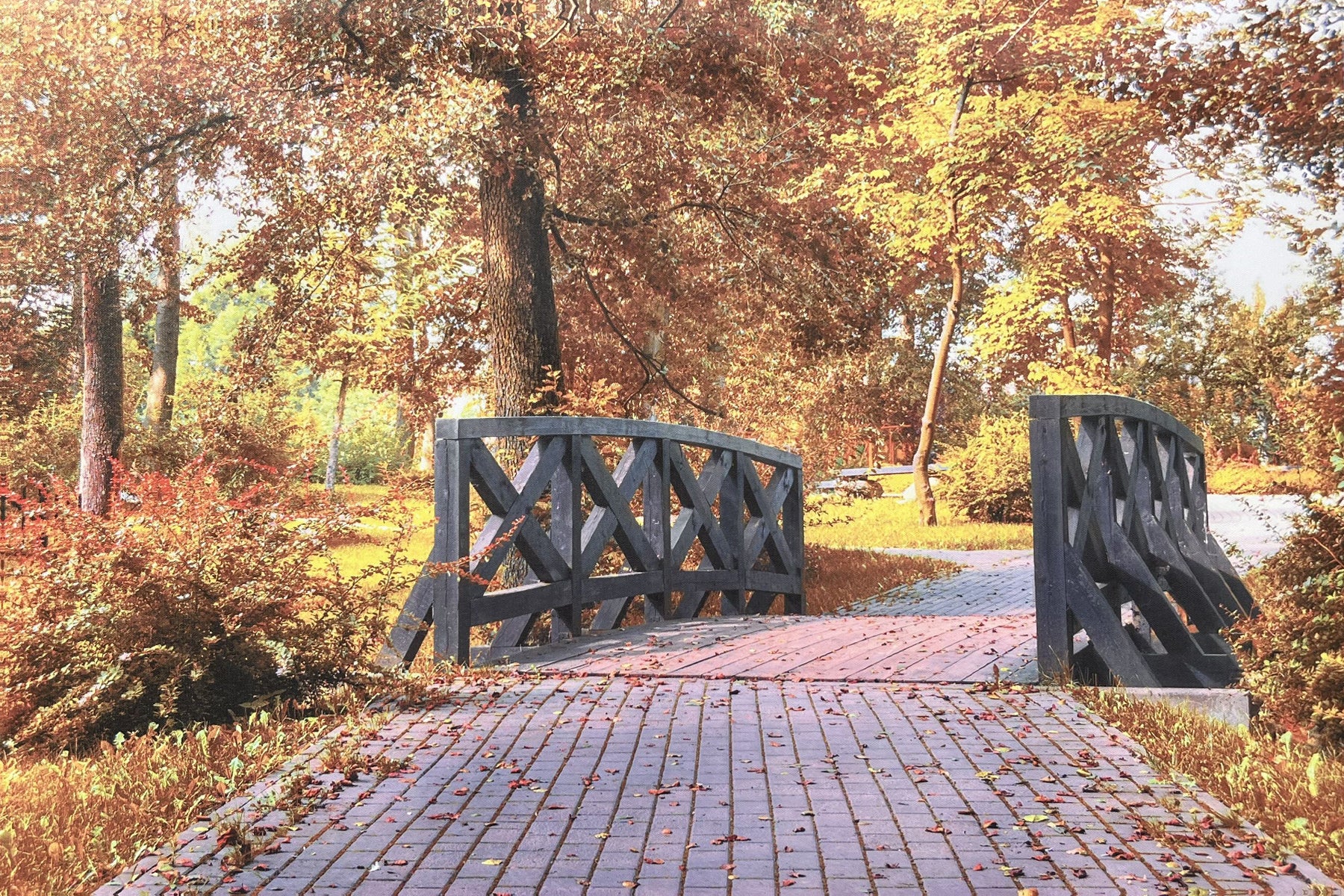 Lauren Taylor - Autumn Scene Printed Canvas - Image 4