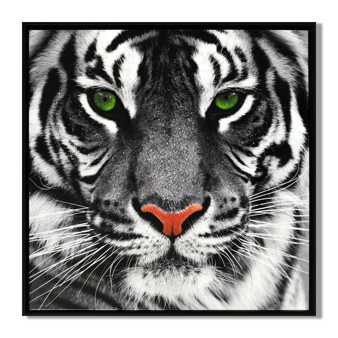 LAUREN TAYLOR-Canvas Animal 63X63X3.5