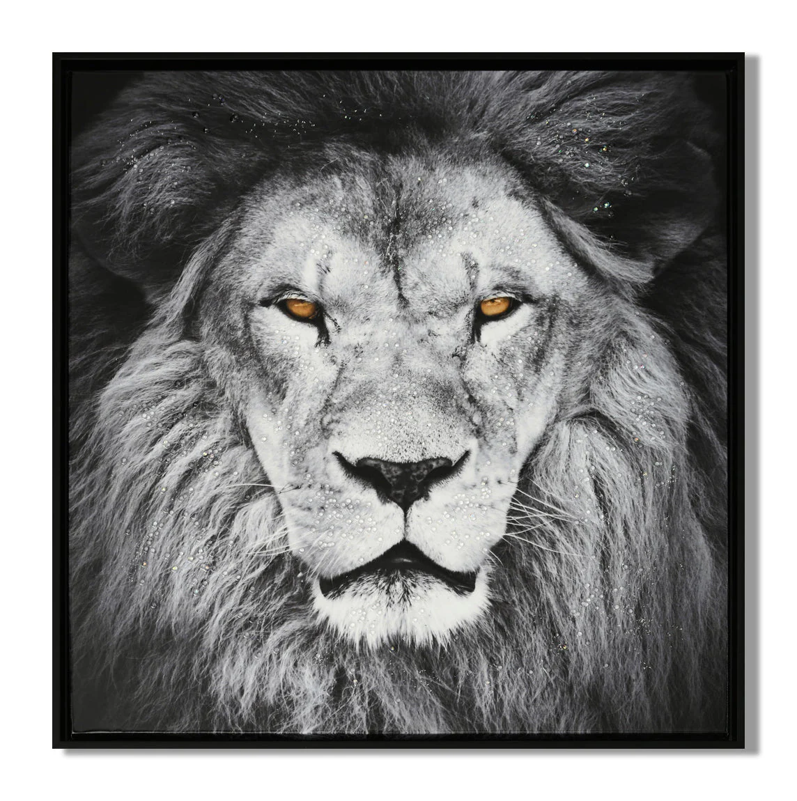 LAUREN TAYLOR-Canvas Animal 63X63X3.5 - Image 3