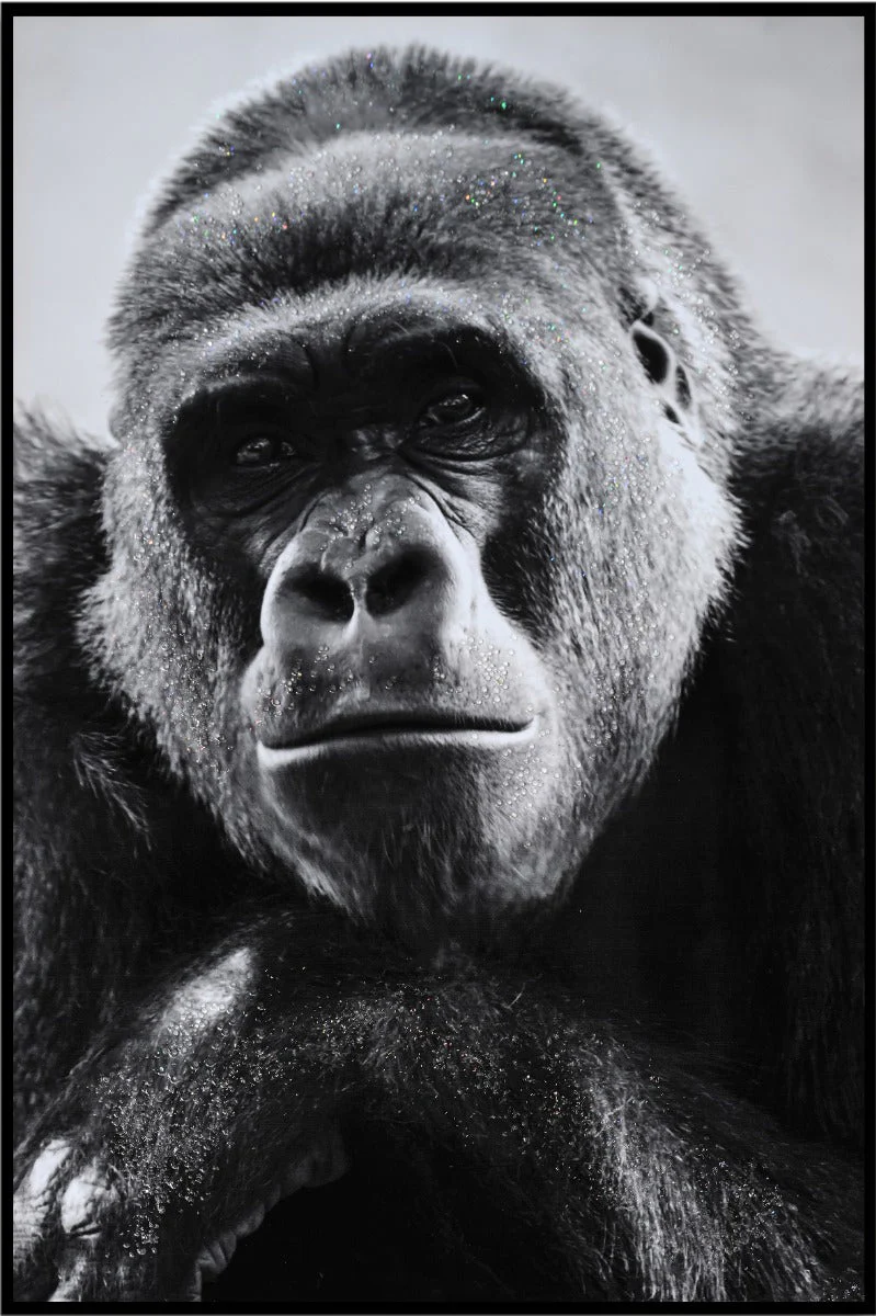 LAUREN TAYLOR-Canvas Animal 63x93x3.5 - Image 2