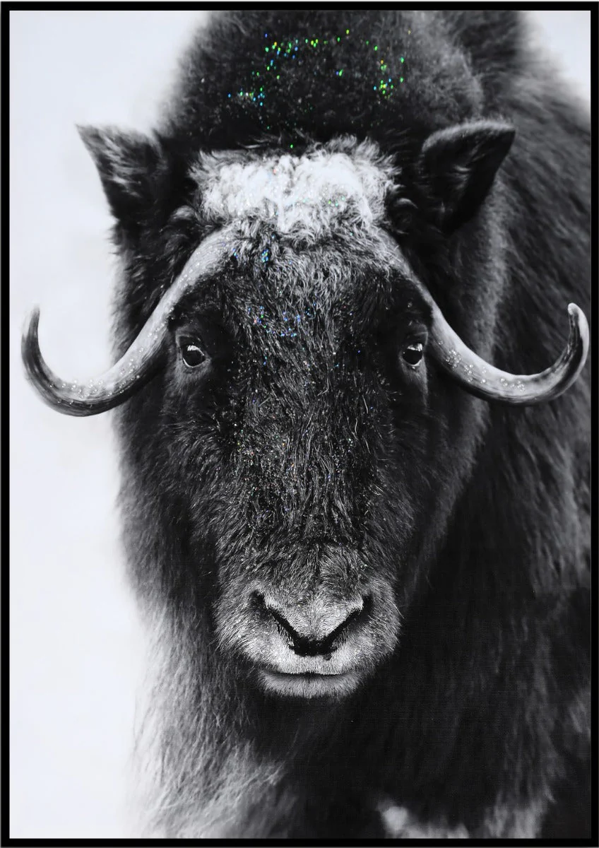LAUREN TAYLOR-Canvas Animal 63x93x3.5 - Image 3