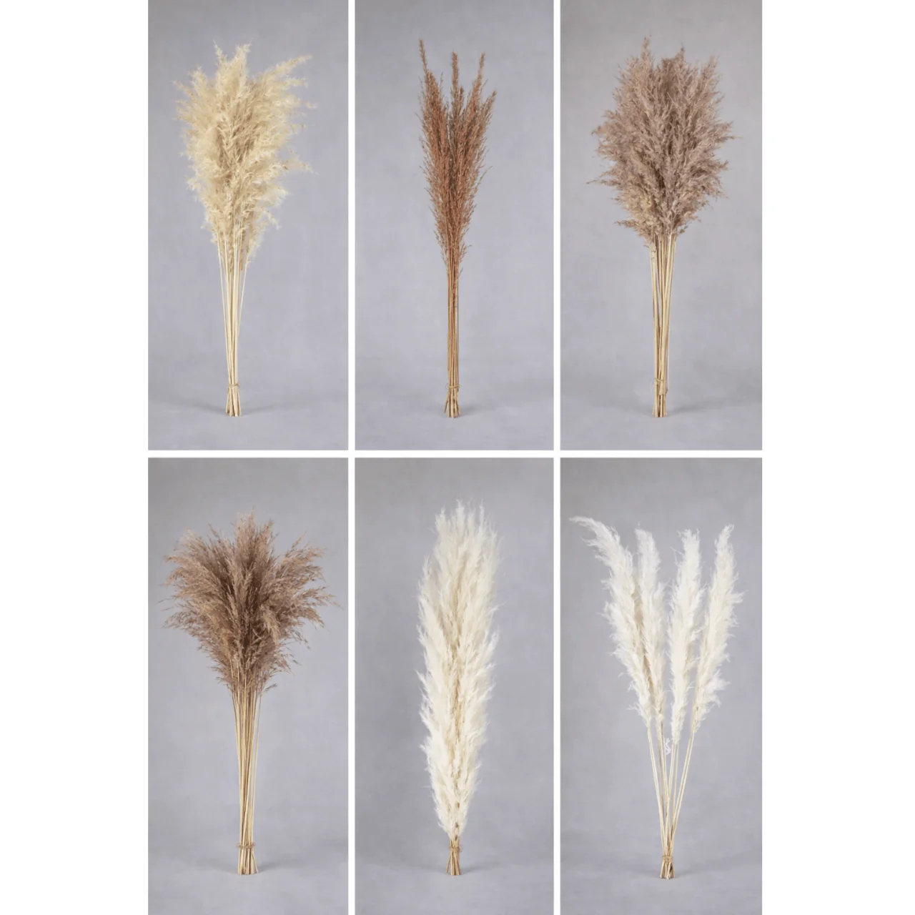 Pampas Grass Bunch – Assorted Styles