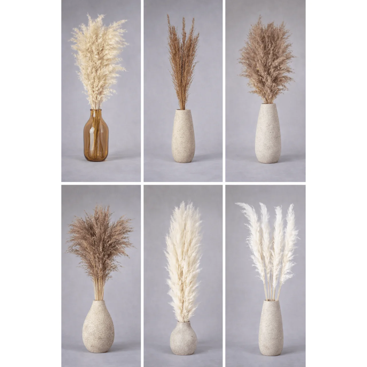 Pampas Grass Bunch – Assorted Styles - Image 2