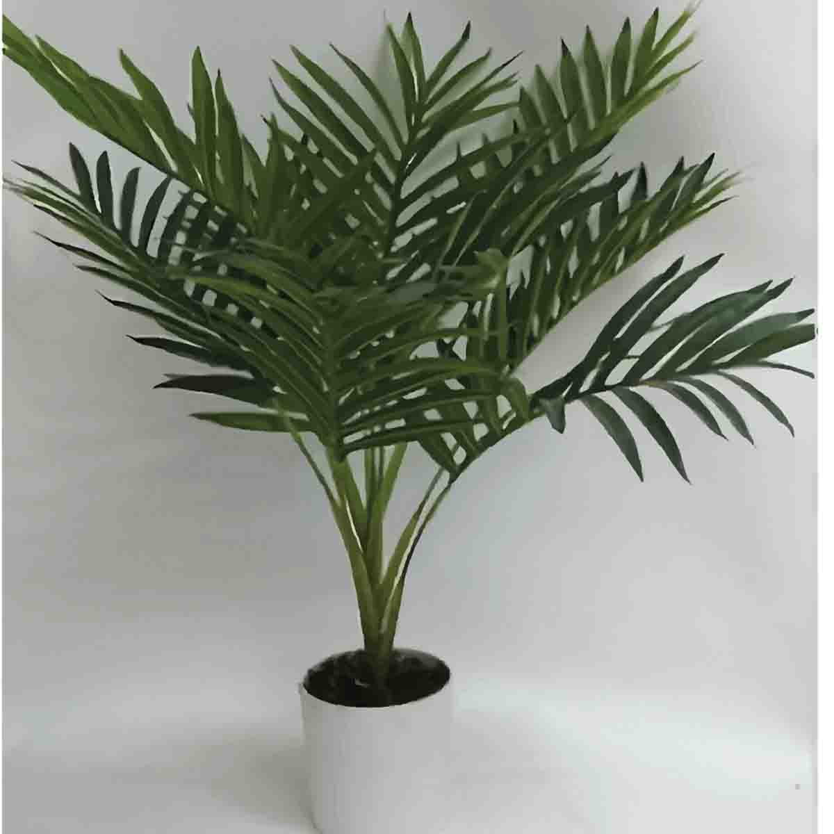 Palm Leave Plant in white Pot