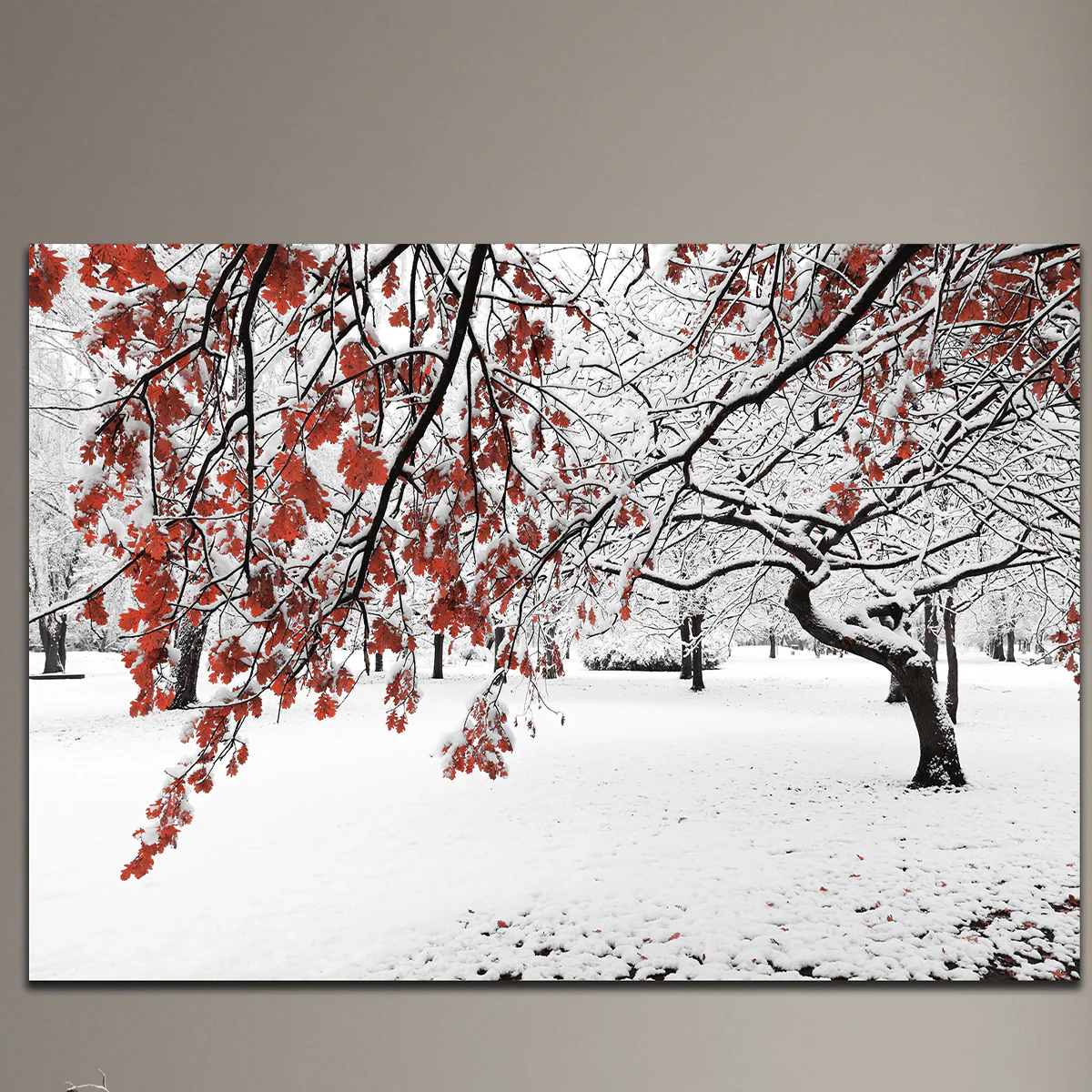 Printed Canvas 70 x 100 cm | Winter Tree with Red Leaves