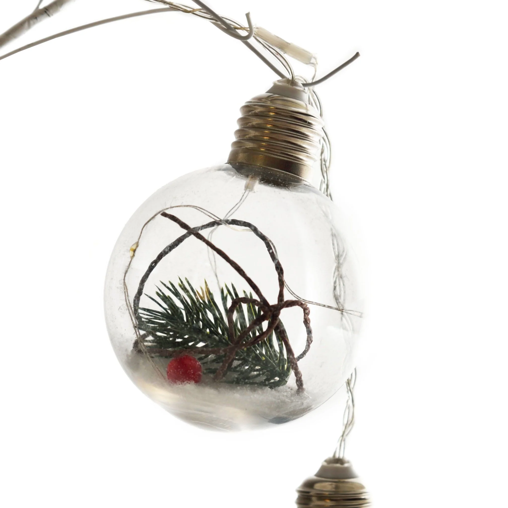 String Light Bulbs | Pine Branch - Image 3