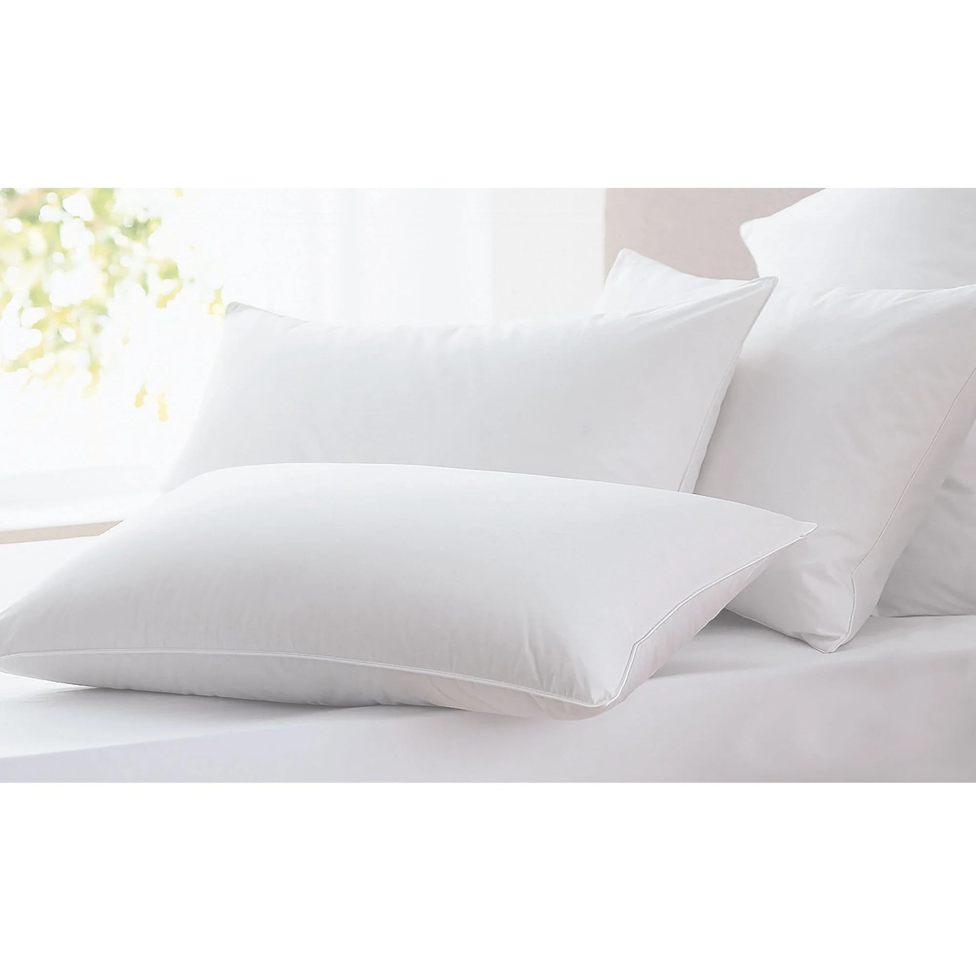 Studio 707 - Jumbo Pillow