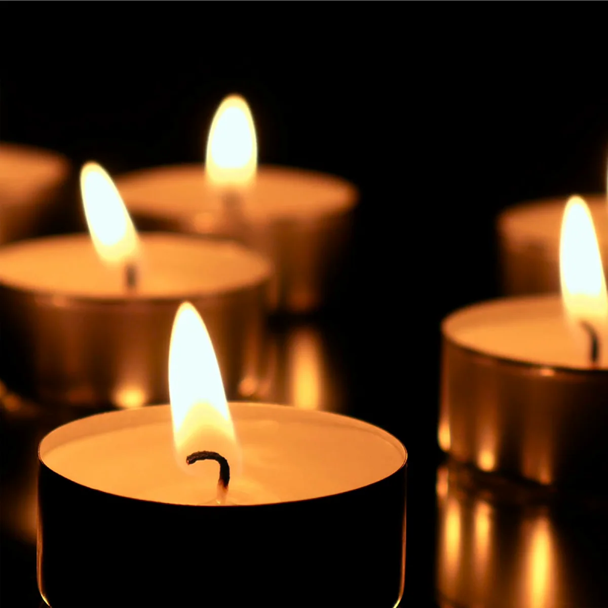 STUDIO 707 - Tealight 4 Hour-30 Pieces