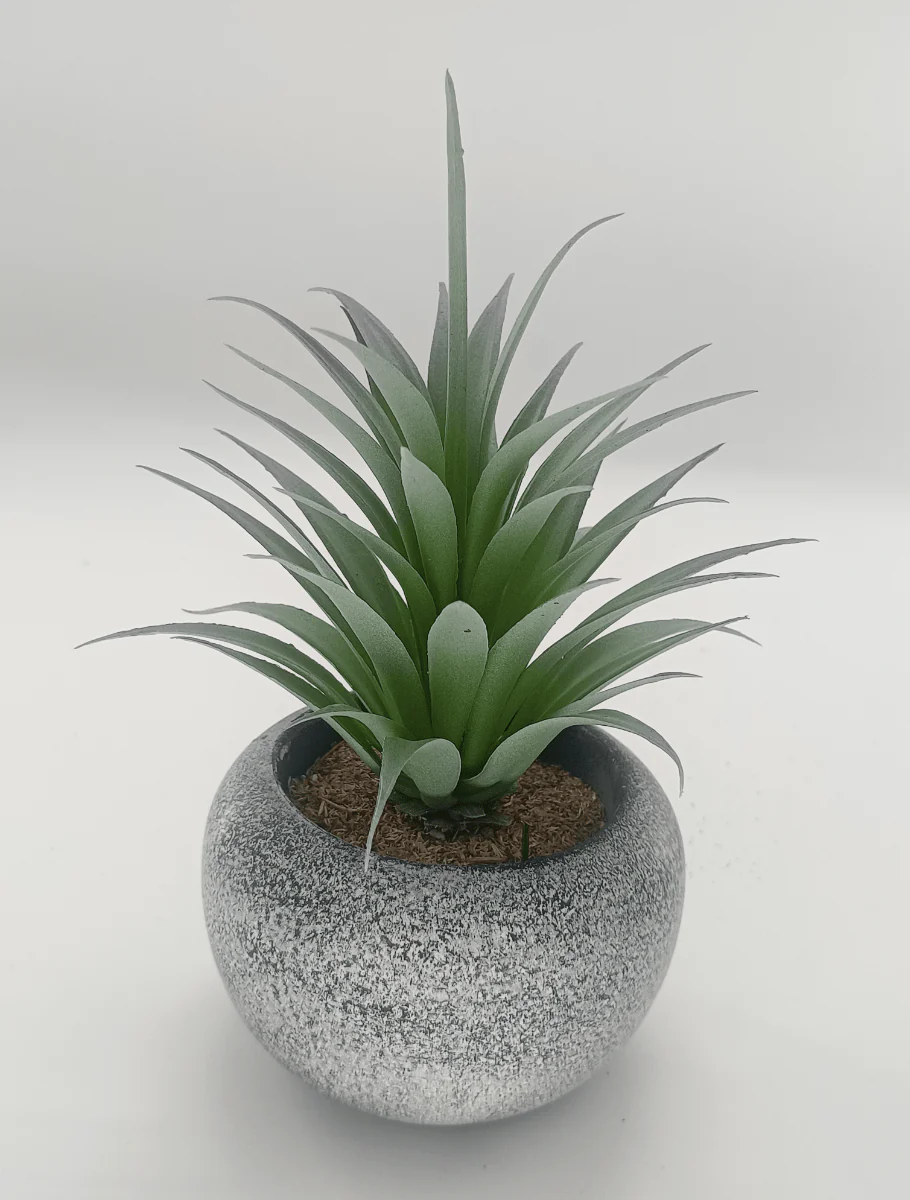Vintage-Style Succulent | 12 x 19.5 cm (4.8 x 7.7") - Image 2