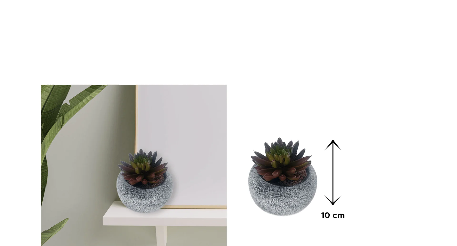 Vintage-Style Succulent | 9.5 x 10 cm (3.8 x 4") - Image 2