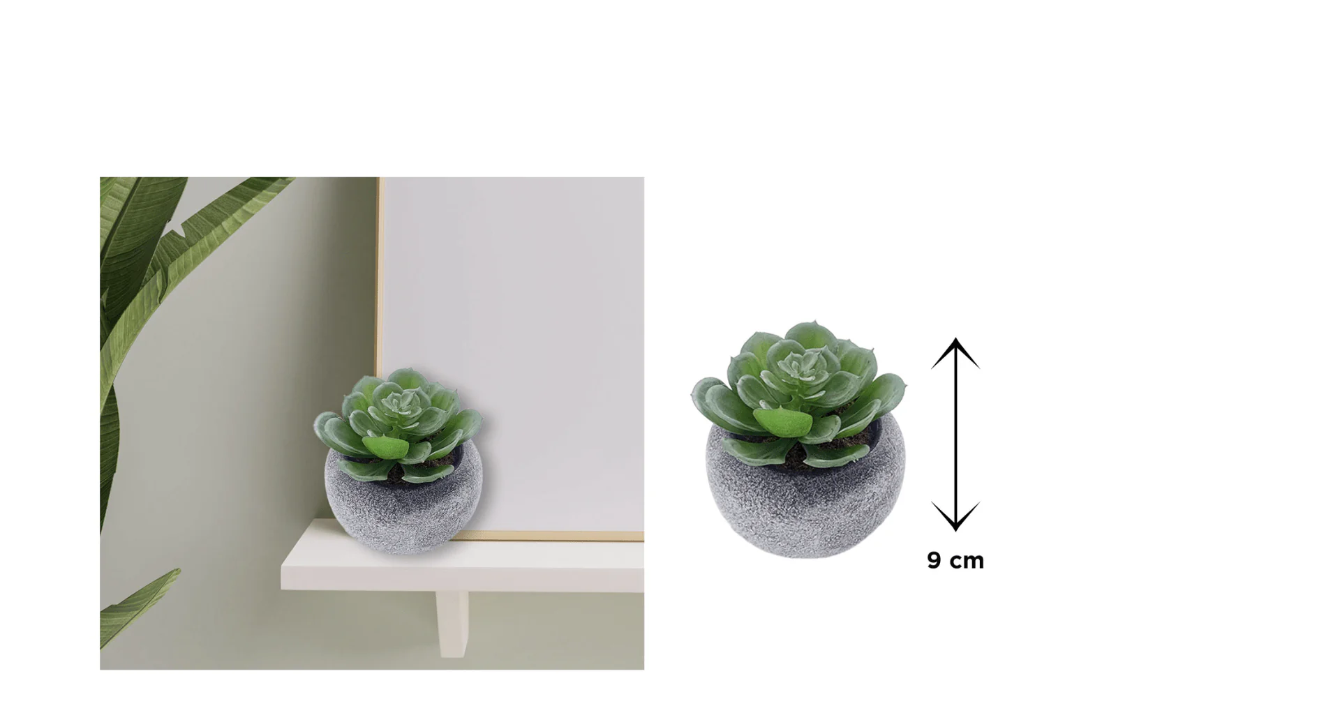 Vintage-Style Succulent | 9.5 x 9 cm (3.5 x 3.5") - Image 2